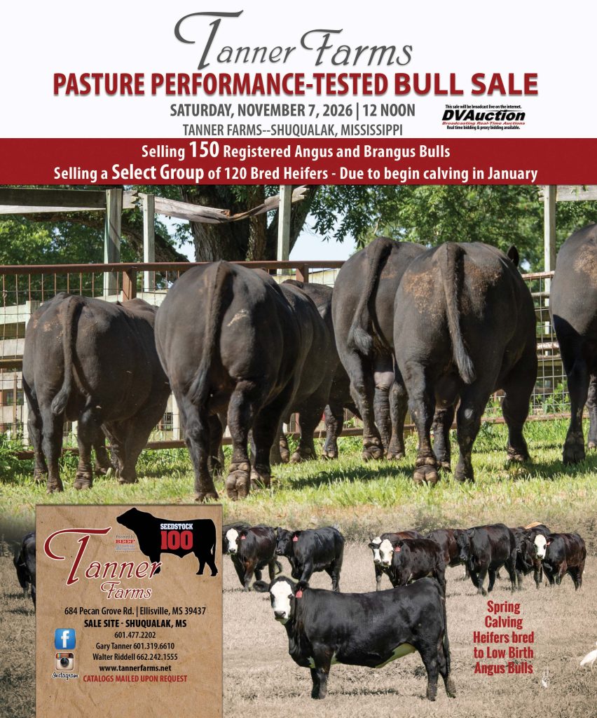 bulletin ad for a bull sale
